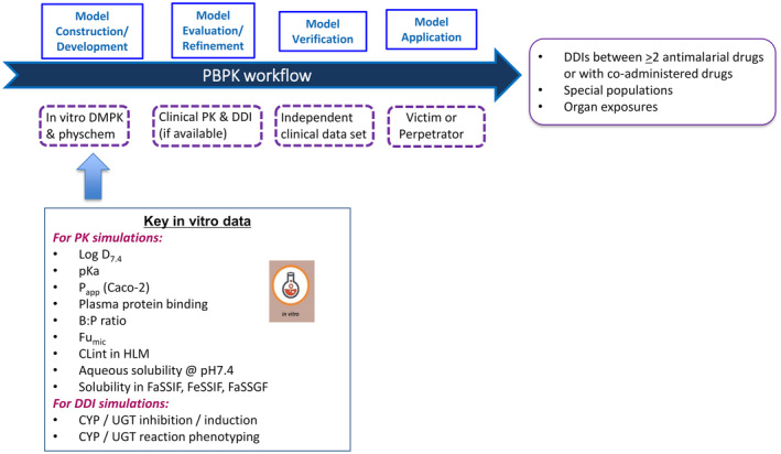 PBPK workflow for DDI risk assessment of antimalarial drugs