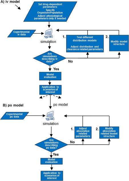 PBPK model building workflow