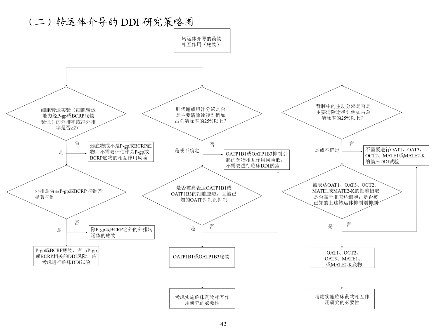 转运体介导的 DDI 研究策略图