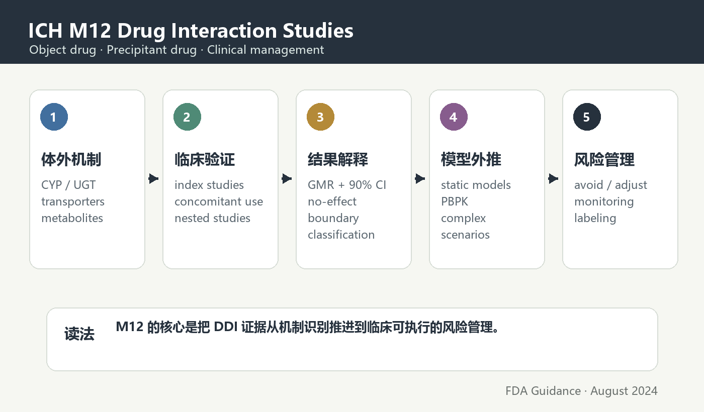 ICH M12 DDI evaluation framework