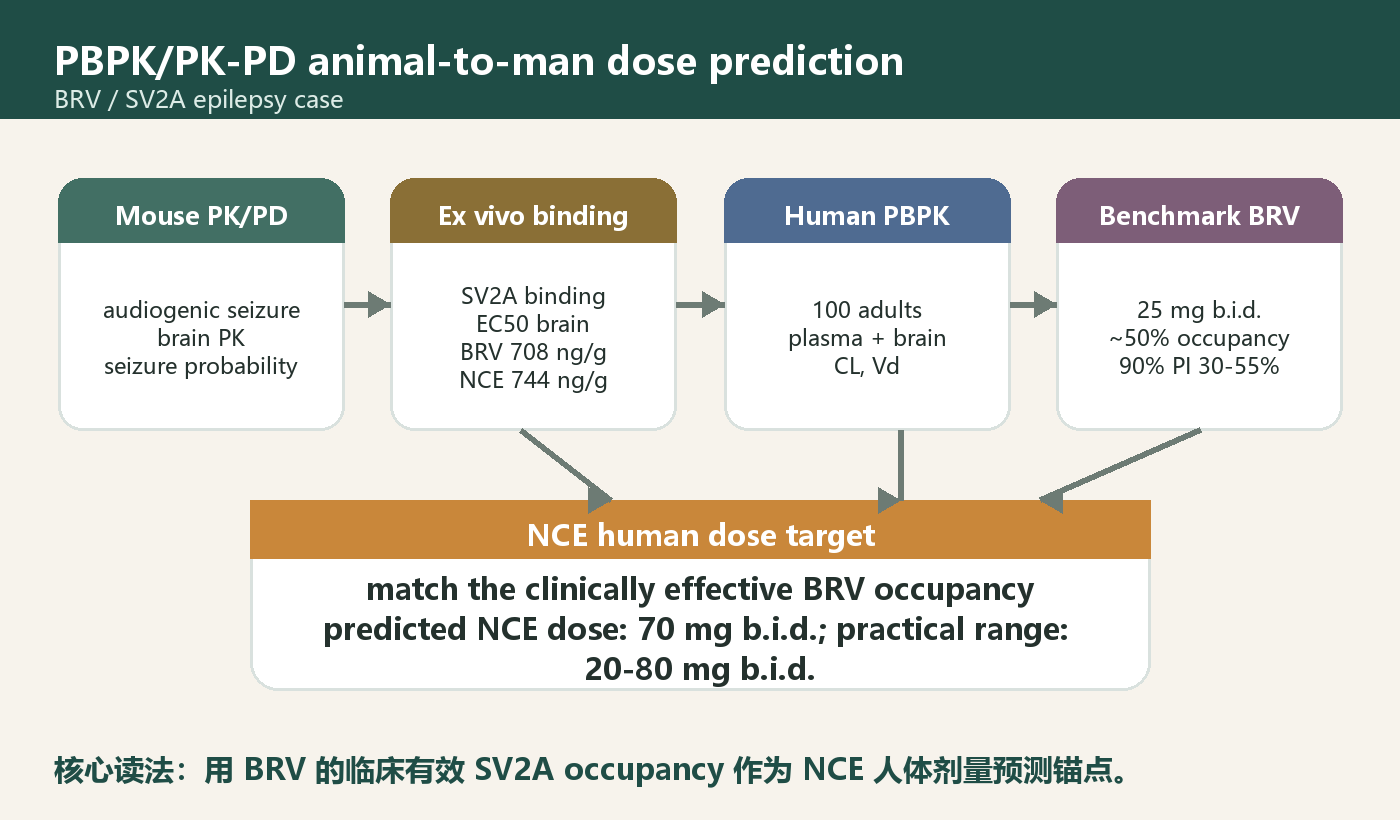 PBPK PK-PD animal-to-human dose prediction workflow
