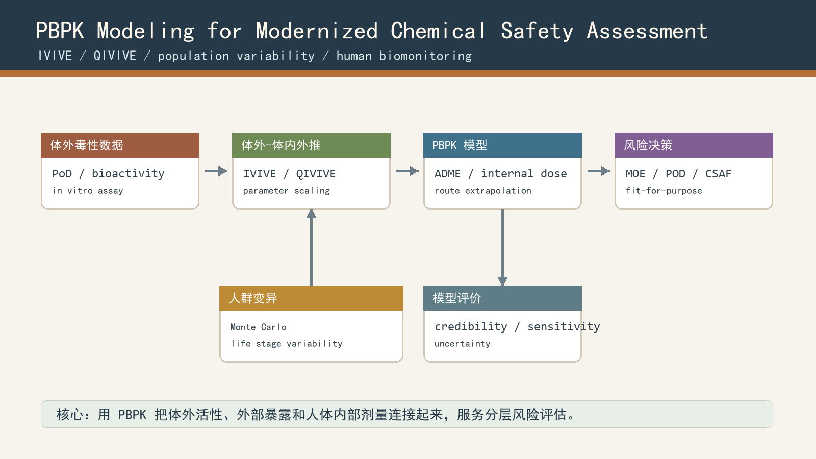 PBPK modeling for IVIVE and chemical safety assessment